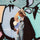Toddler Carrier - Blue